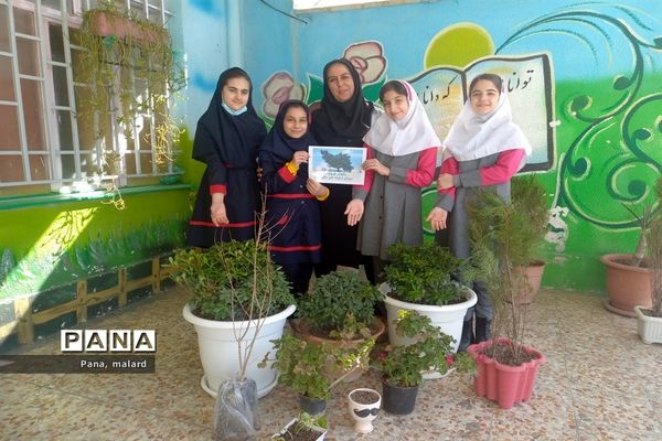 کاشت نهال در مدارس شهید همت و شکوفه‌های دانش ملارد