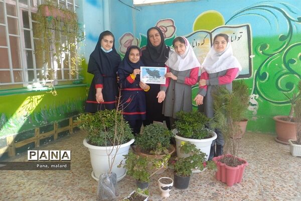 کاشت نهال در مدارس شهید همت و شکوفه‌های دانش ملارد