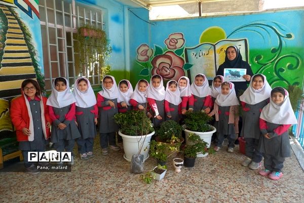 کاشت نهال در مدارس شهید همت و شکوفه‌های دانش ملارد