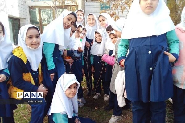روز درختکاری در دبستان دخترانه سما۲رودهن