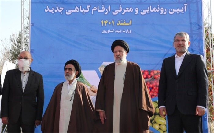 کاشت یک میلیارد درخت در ۴ سال اقدامی ارزنده در راستای حفظ محیط زیست و توسعه پایدار کشور است