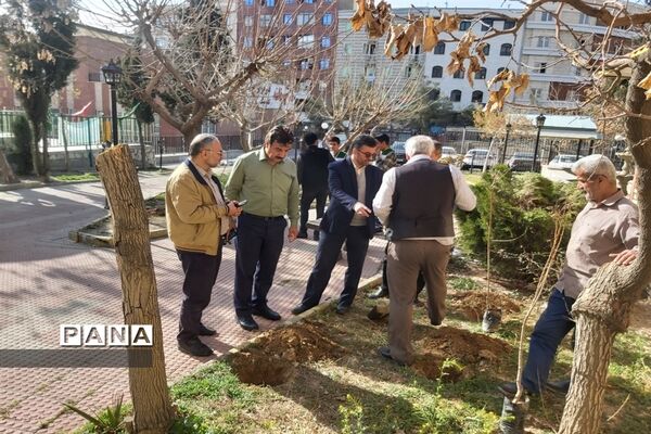 روز درختکاری فرصتی برای دوباره زیستن
