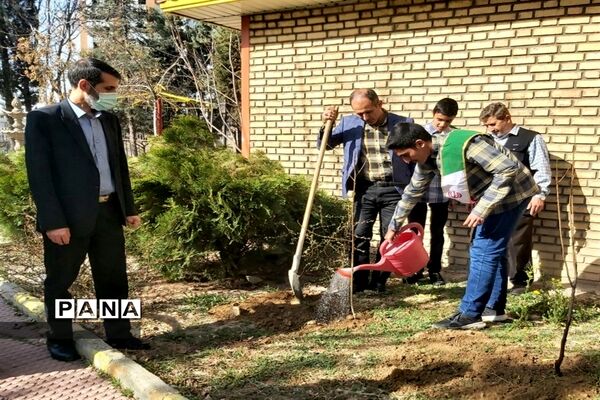 روز درختکاری فرصتی برای دوباره زیستن