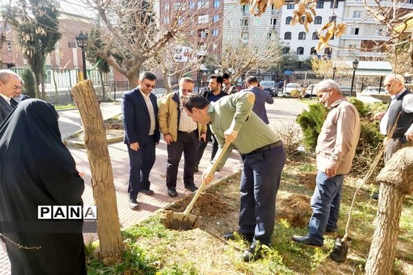 روز درختکاری فرصتی برای دوباره زیستن