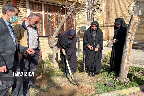 روز درختکاری فرصتی برای دوباره زیستن