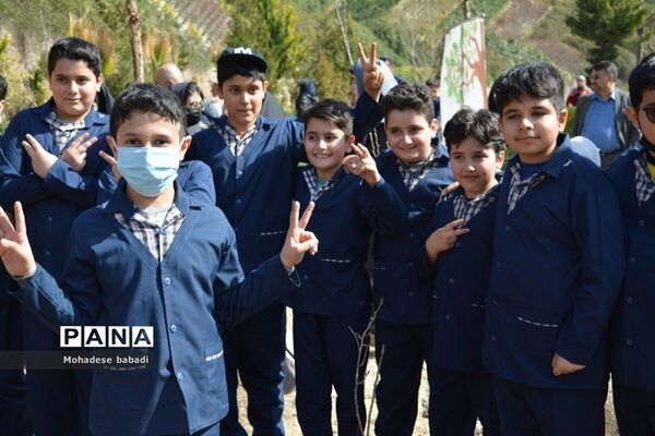 طرح ماندگار غرس نهال در منطقه 2 تهران