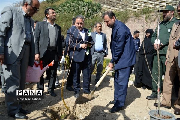 طرح ماندگار غرس نهال در منطقه 2 تهران