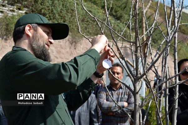 طرح ماندگار غرس نهال در منطقه 2 تهران