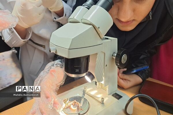 کارگاه آناتومی و تشریح حیوانات آزمایشگاهی در پاکدشت