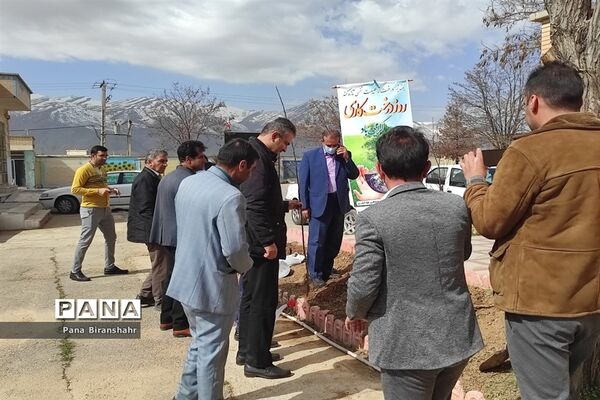 روز درختکاری در بیرانشهر
