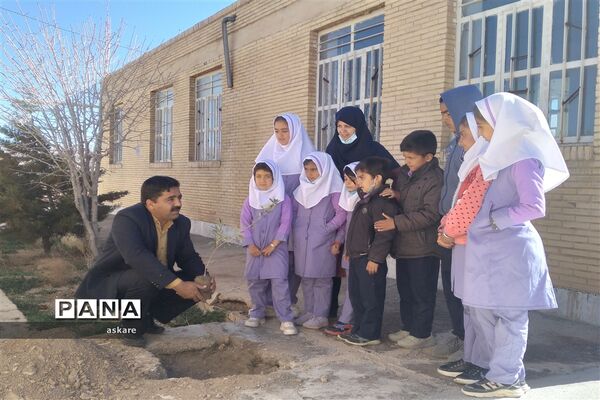 جشن روز درختکاری در مدارس عشایری شهرستان خاتم