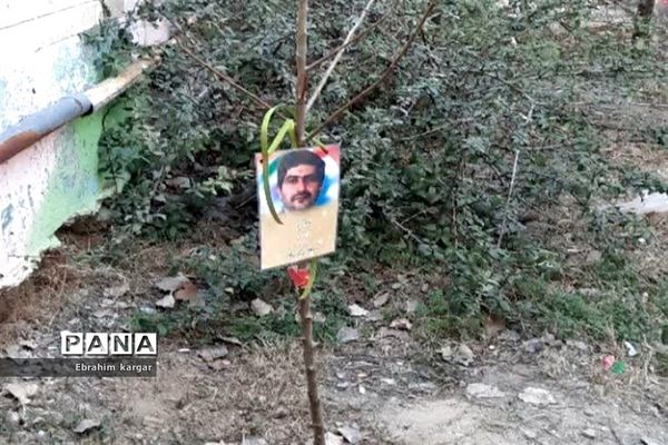 کاشت نهال به یاد شهید حاج قاسم سلیمانی و شهید کبیری طامه