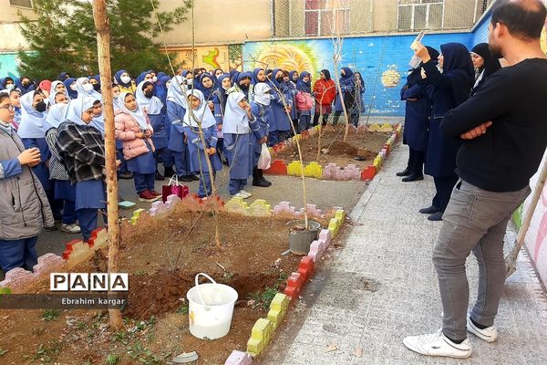 کاشت نهال به یاد شهید حاج قاسم سلیمانی و شهید کبیری طامه