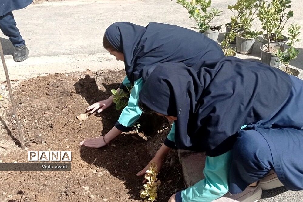 درختکاری در دبیرستان دخترانه  سما رودهن