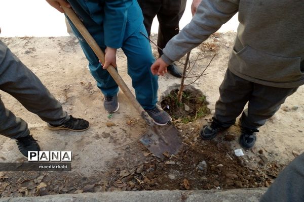 برگزاری جشنواره درختکاری در بخش جوادآباد