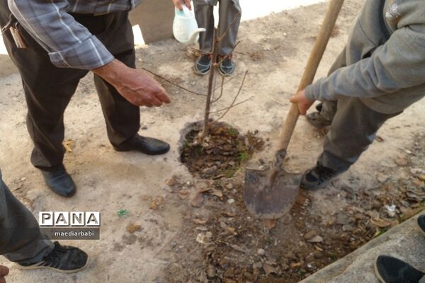 برگزاری جشنواره درختکاری در بخش جوادآباد
