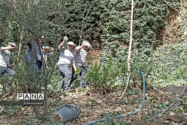 با کاشت هر درخت، یادشهیدی را زنده نگه می‌داریم