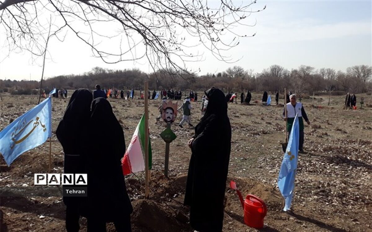 درختکاری یک سنت حسنه و راهی برای زندگی بهتر  آیندگان است