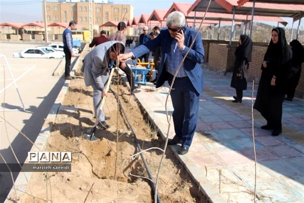 گرامیداشت روز درختکاری در خراسان شمالی