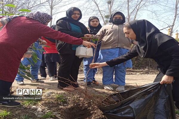 کاشت ۳۱۳ اصله نهال (هردانش‌آموز یک نهال)در روز درختکاری