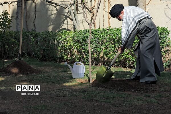 کاشت نهال توسط رهبرمعظم انقلاب در روز درختکاری
