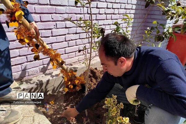 آیین روز درختکاری در دبیرستان تربیت رودهن