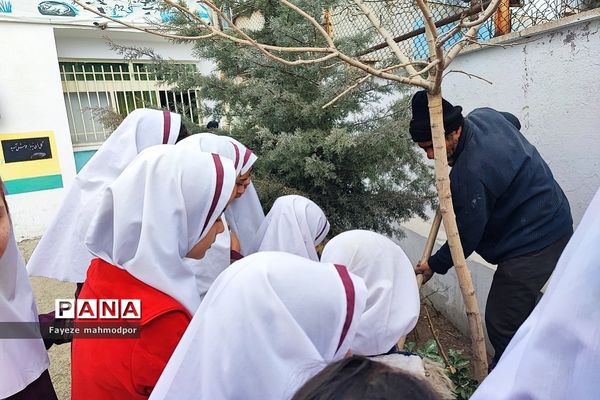 مراسم درختکاری در دبستان حضرت زهرا(س)یک رودهن