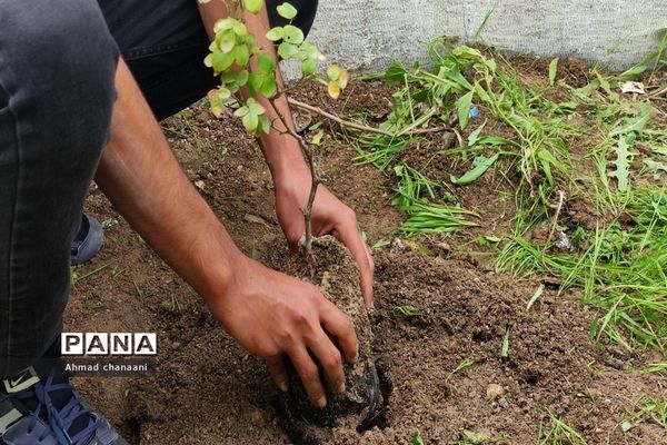 آیین نمادین درختکاری در مدارس کارون