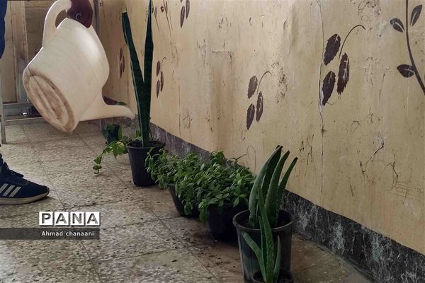 آیین نمادین درختکاری در مدارس کارون