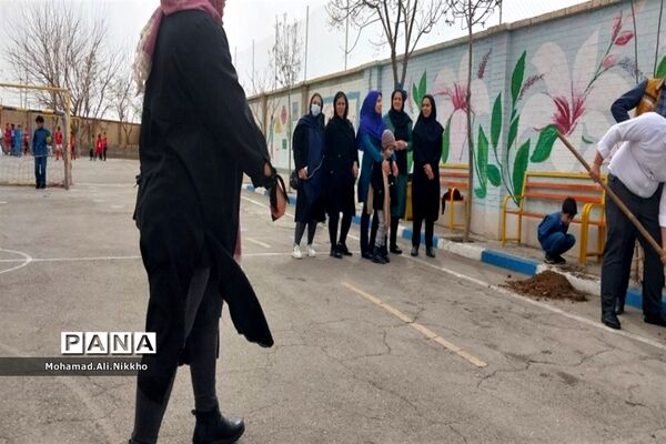 درختکاری در مدرسه حضرت مهدی(عج) پاکدشت
