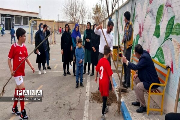 درختکاری در مدرسه حضرت مهدی(عج) پاکدشت