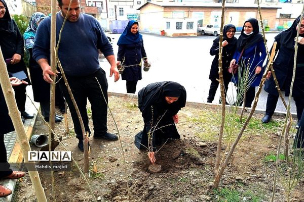 گرامیداشت هفته منابع طبیعی در دبستان زینب یک ملارد