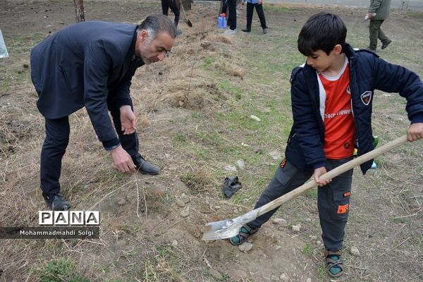 کاشت صد و پنجاه نهال به مناسبت آیین استانی گرامیداشت روز درختکاری در شهریار