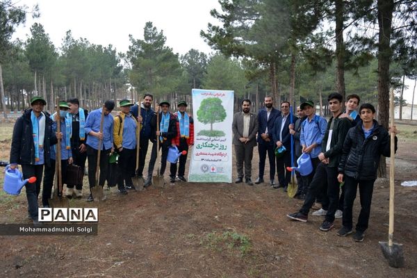 کاشت صد و پنجاه نهال به مناسبت آیین استانی گرامیداشت روز درختکاری در شهریار