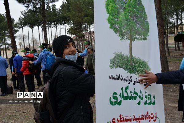 کاشت صد و پنجاه نهال به مناسبت آیین استانی گرامیداشت روز درختکاری در شهریار