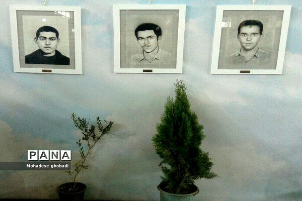 نمایشگاه سرو قامتان سرخ گلستان در بهارستان