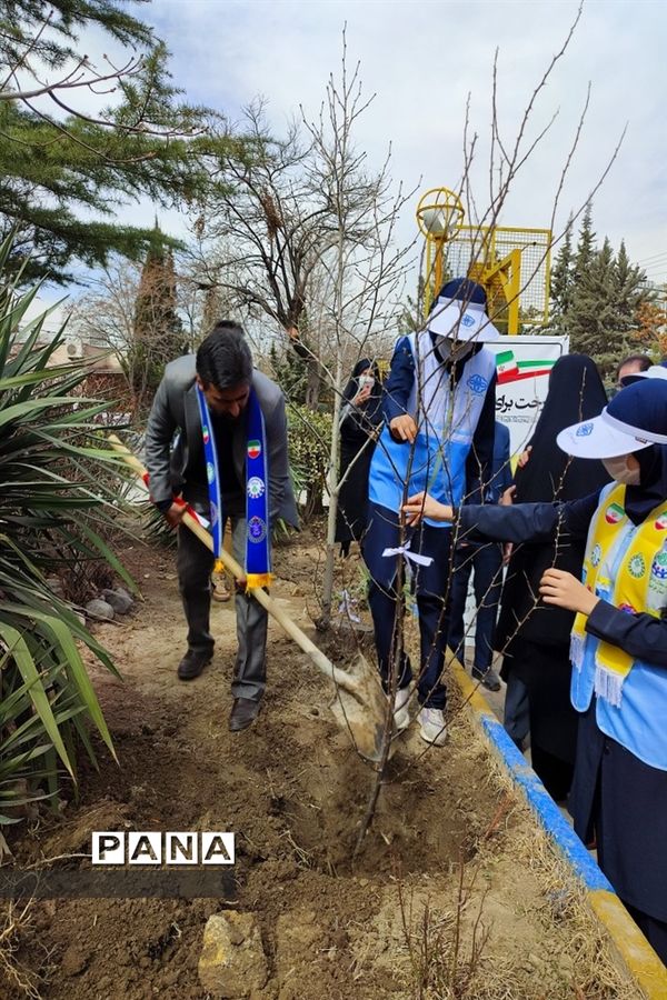 مراسم استانی روز درختکاری در ناحیه ۶ مشهد