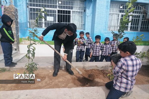 کاشت سایه‌بان امید‌ در دبستان پسرانه حافظ یک ناحیه یک یزد