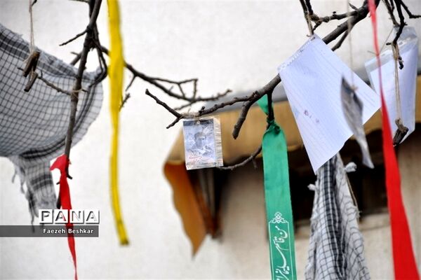 یادواره شهدا در ساری