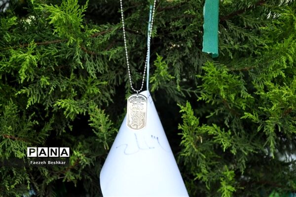یادواره شهدا در ساری
