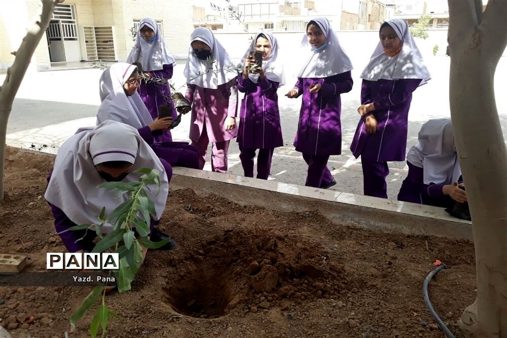 پویش درختکاری دبستان عفت ناحیه یک