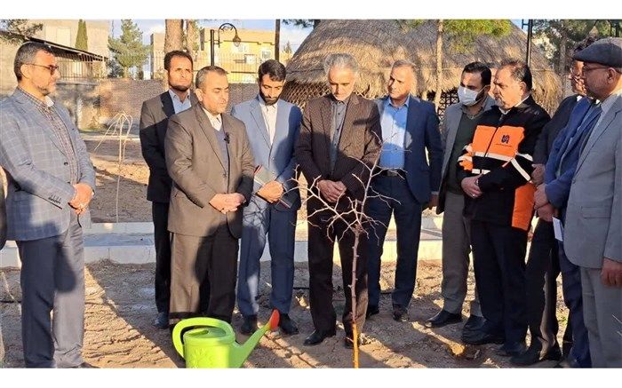 ماجرای یک روز سبز