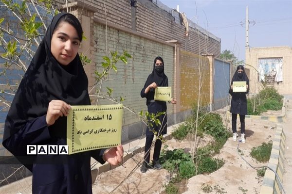 کاشت نهال در مدارس کارون توسط دانش‌آموزان