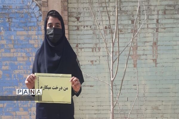 کاشت نهال در مدارس کارون توسط دانش‌آموزان
