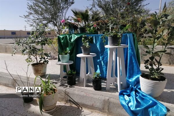 اهدا گلدان یا نهال به مناسبت‌ هفته درختکاری در دبیرستان نمونه برکت شهرستان خاتم