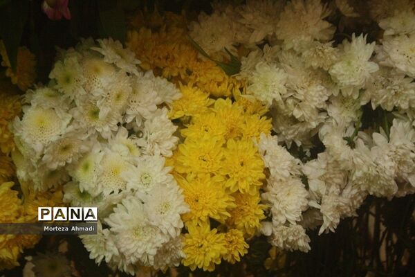 مراسم ولادت حضرت مهدی(عج) در شهرری