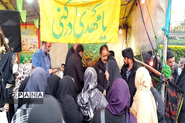 ولادت عطر گل نرگس در شهرستان نور