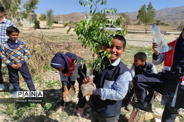 کاشت نهال در مدارس فورگ