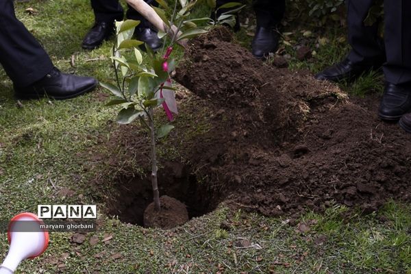 سفر وزیر تعاون، کار و رفاه اجتماعی به مازندران