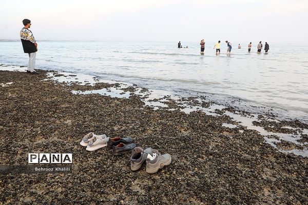 بازدید دانش‌آموزان سمپاد از مراکز مهم نظامی، دفاعی و پالایشگاه ستاره خلیج‌فارس استان هرمزگان